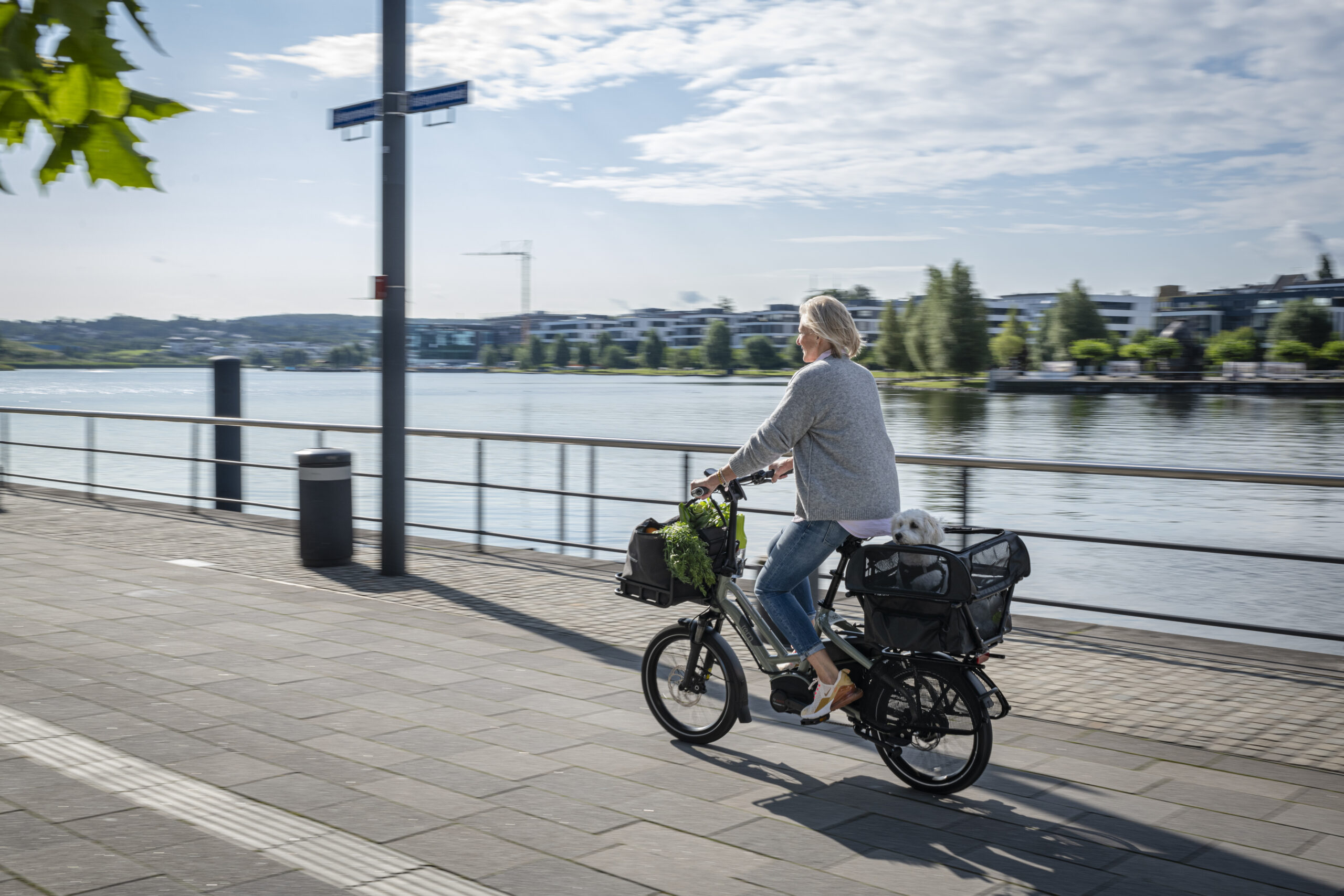 TERN Dog Roof Mini - Obrázek 7