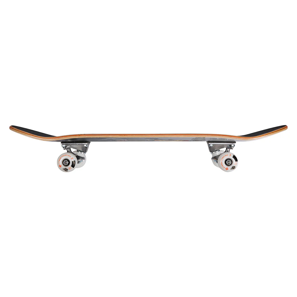 Skateboard Street Surfing STREET SKATE 31 Street N Roses II - Obrázek 3