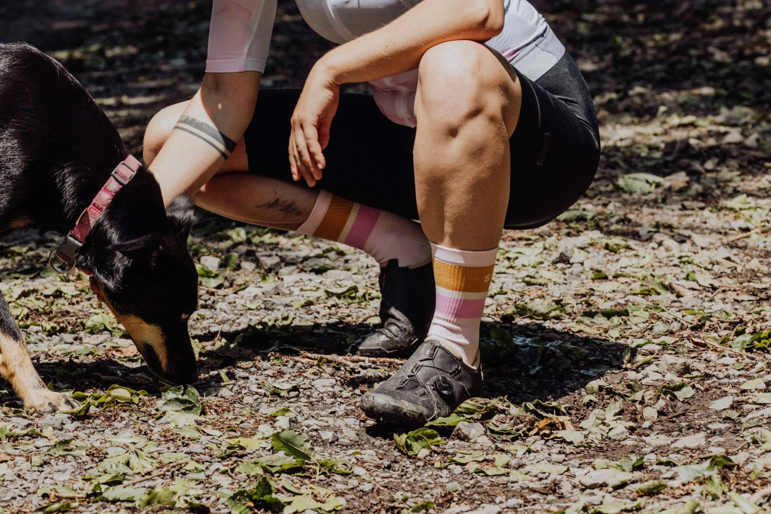 ponožky FORCE STRIPE dlouhé, růžové S-M/36-41 - Obrázek 2